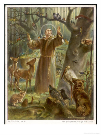 St Francis